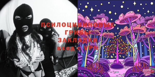 винт Алексин