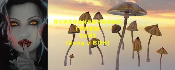 кокаин Алексеевка
