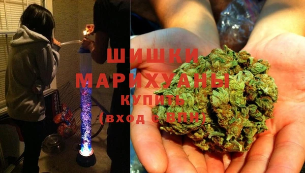 прущие крисы Алзамай