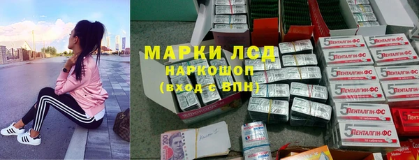 прущие крисы Алзамай