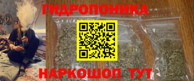 кокс Донской