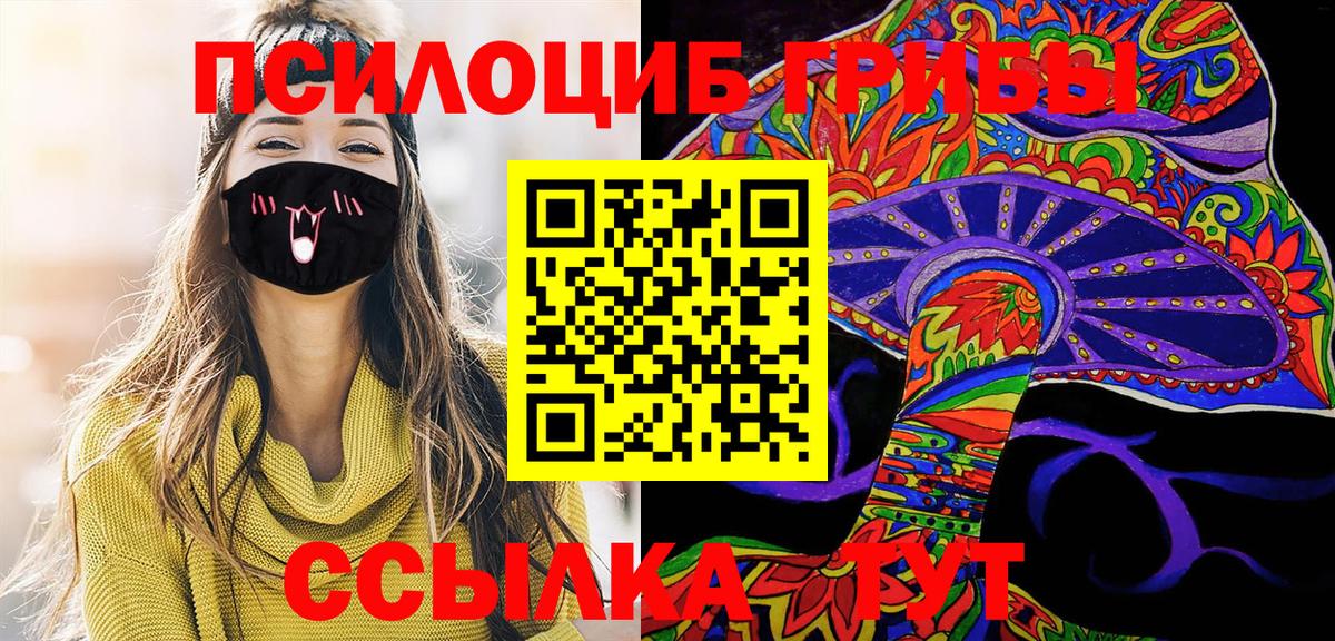 Ленинск-Кузнецкий  Галлюциногенные грибы MAGIC MUSHROOMS  Вход с VPN 